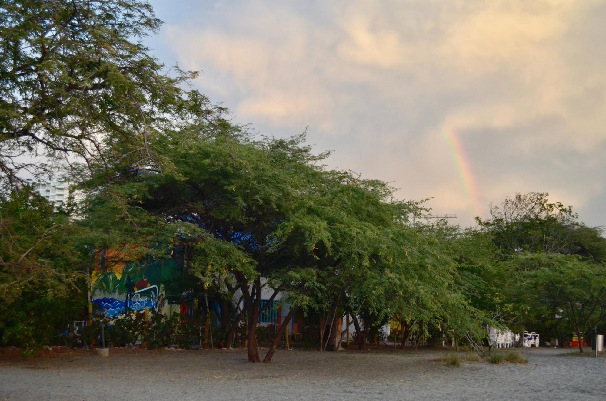 Playa Del Ritmo Beach Hostel & Bar - Adults Only Santa Marta  Buitenkant foto